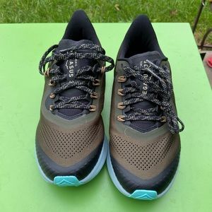 Nike Zoom Pegasus trail running shoes